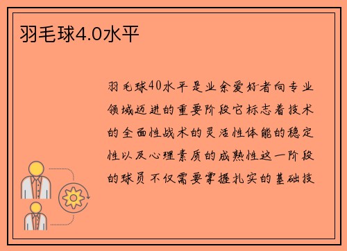 羽毛球4.0水平