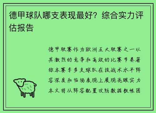 德甲球队哪支表现最好？综合实力评估报告